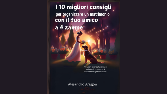 Finale 4 zampe annuncio 5