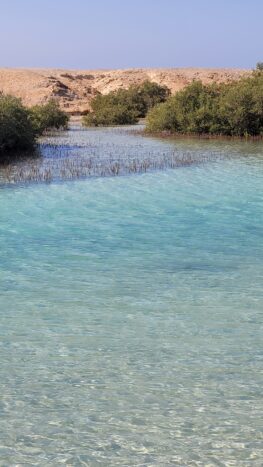 Sharm
