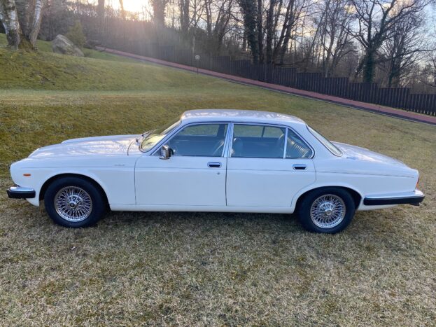 DAIMLER JAGUAR 1980 (2)