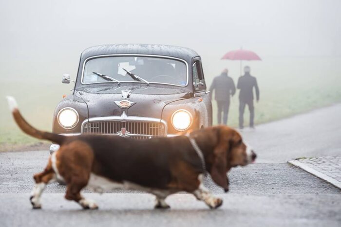 FIAT 1400 A 1954 (5)