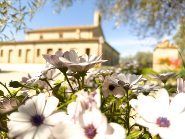 Chiesa e giardino