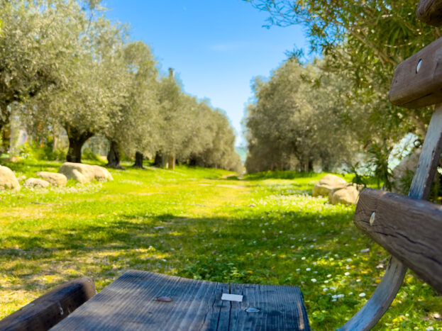 Giardino, dettagli