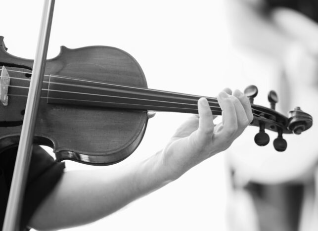 Violino