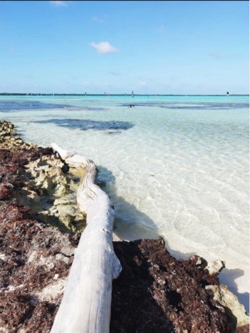 Caraibi