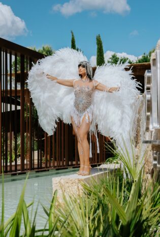 Accoglienza White Wings