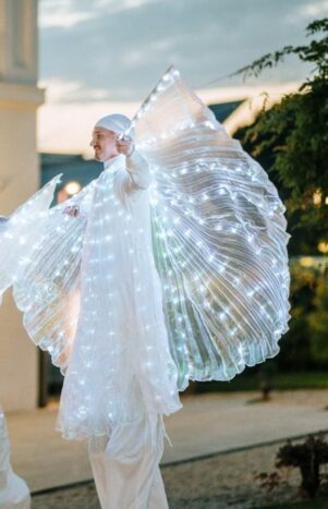 Trampolieri con ali led