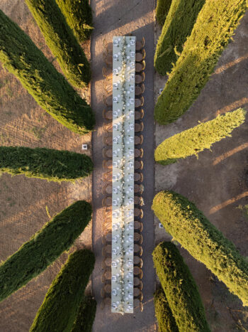 table setting cypress Trees