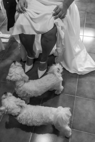 come figli