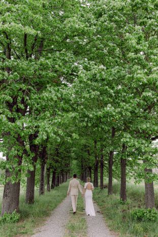 viale alberato
