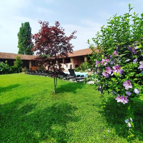 Giardino e piscina
