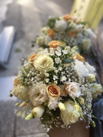 Denroses