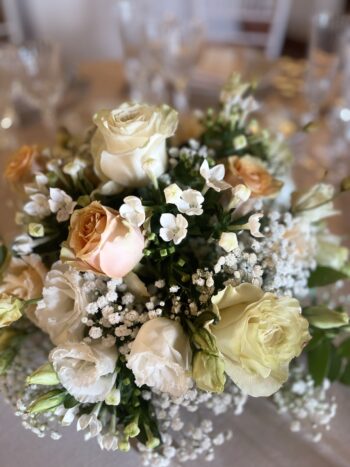 Denroses