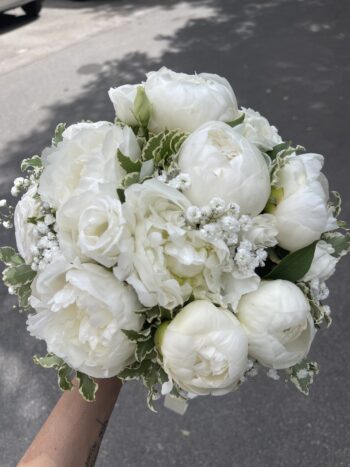 Denroses