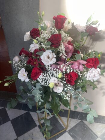 Denroses