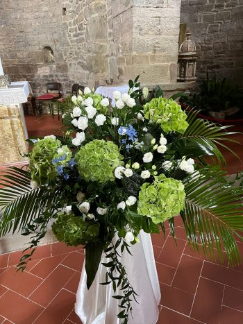 Fiori e piante il petalo