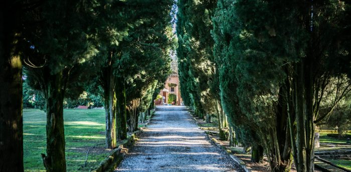 ingresso alberato