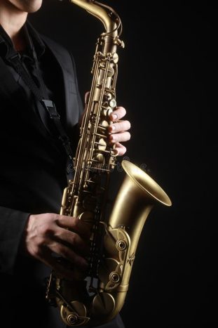 Musicista