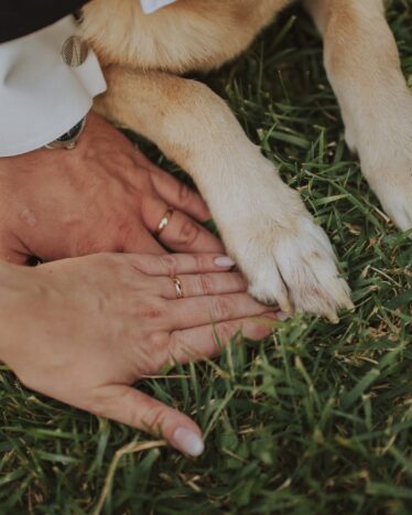 L'amore in una foto