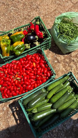 .....
