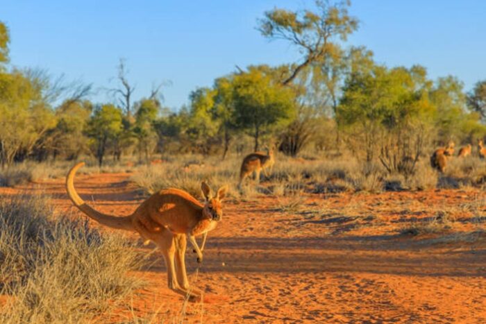 Australia