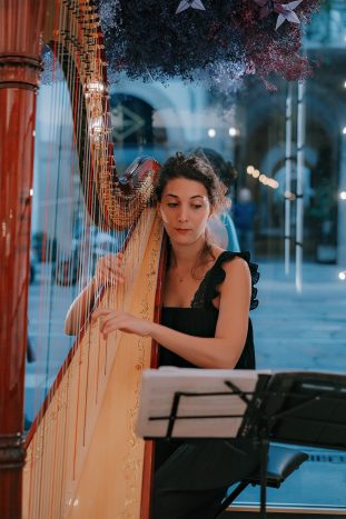 harp wow