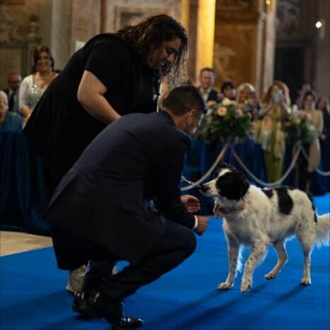 Consegna delle fedi in corso