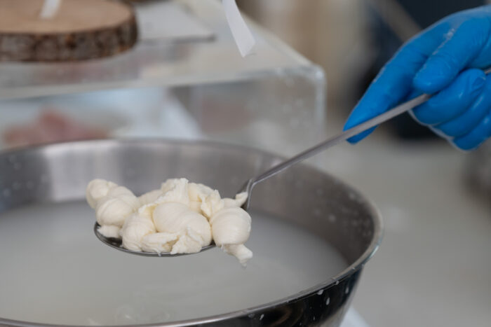 mozzarelle