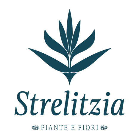 Logo Strelitzia Piante e Fiori