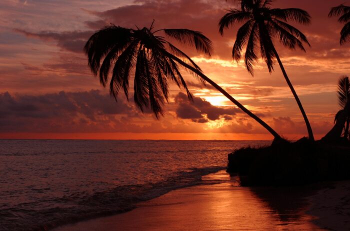 Caraibi