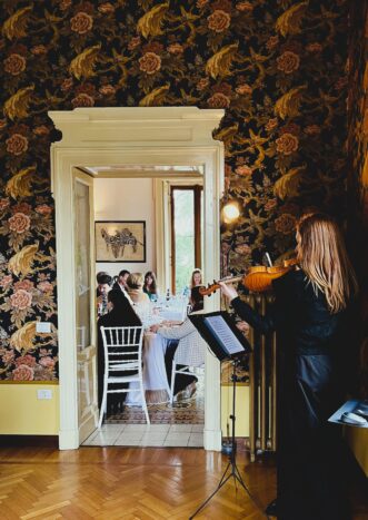 violino