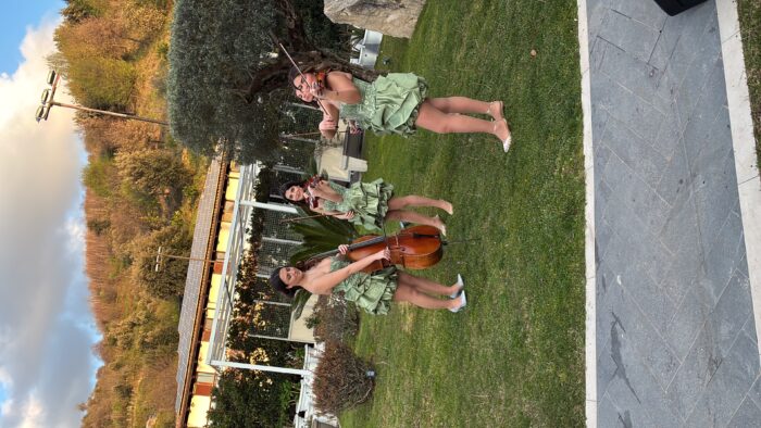 Stradivarius Experience