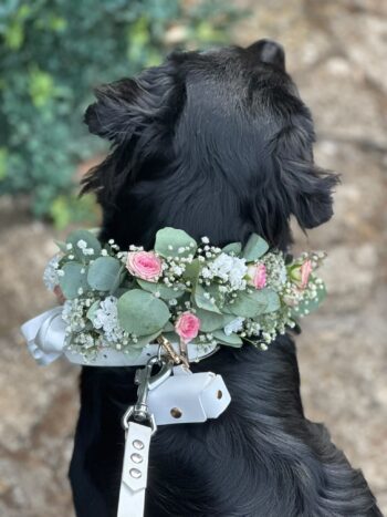 Accessori Floreali